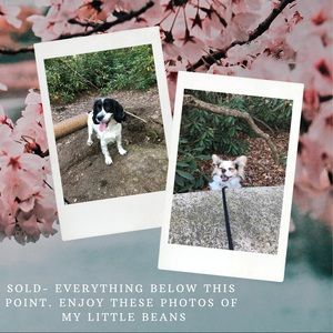 EVERYTHING BELOW THIS POINT IS SOLD. 💞